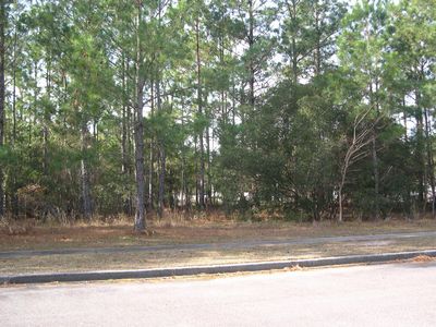 Lot 140 Bridgeview Rd., Georgetown, SC, 29440