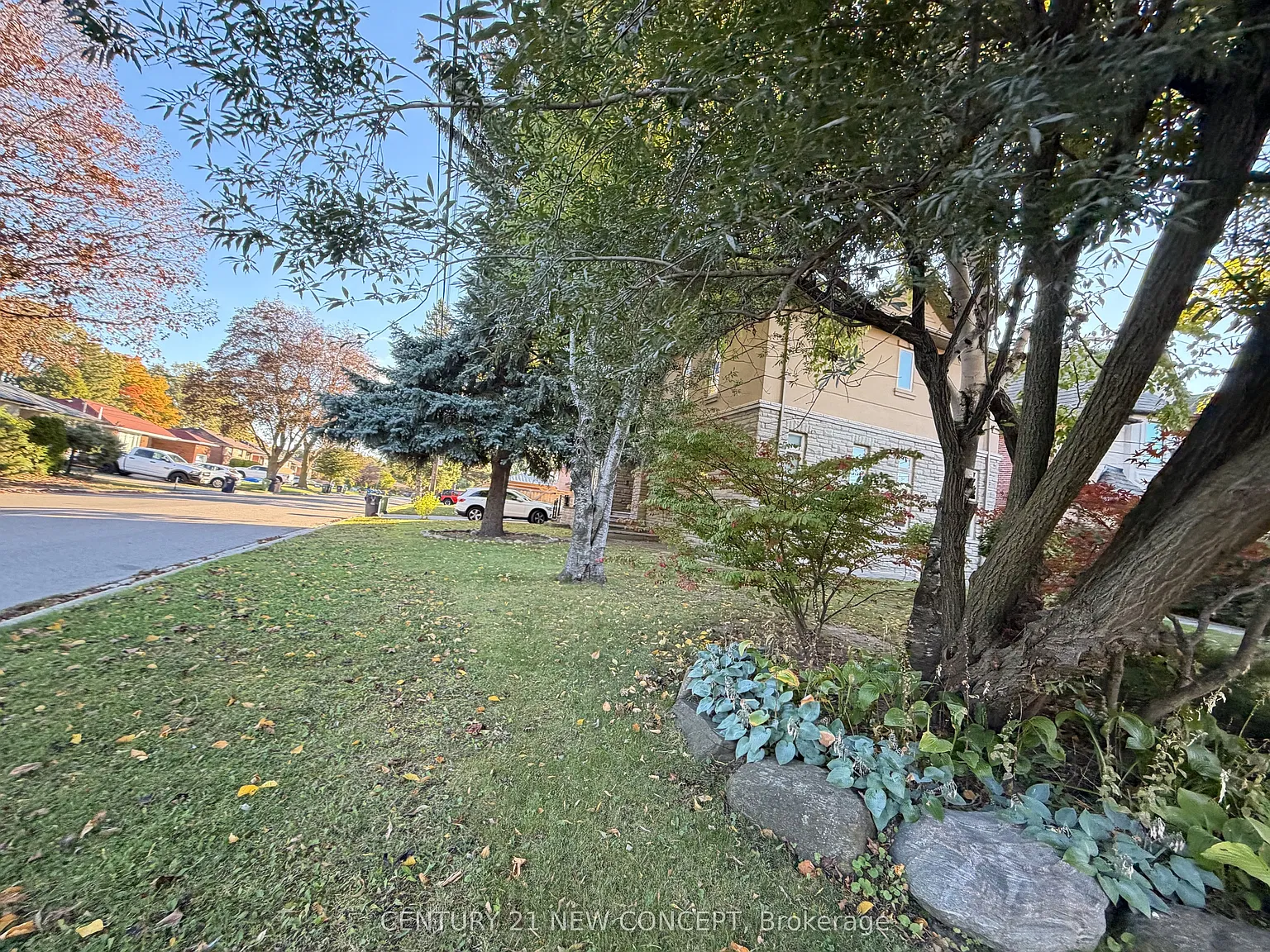 5 bed, $5,800 — Photo 3