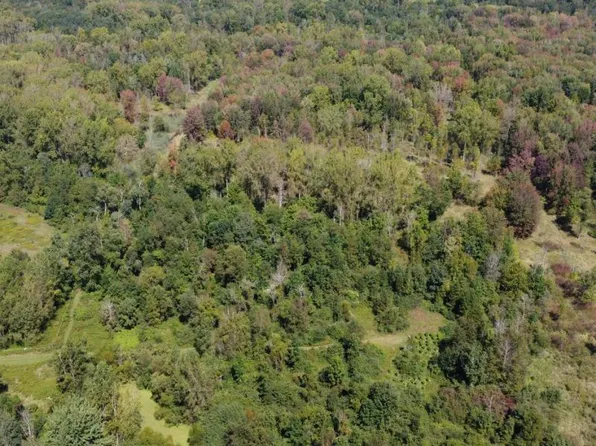 Wilder Rd, Vassar, MI 48768