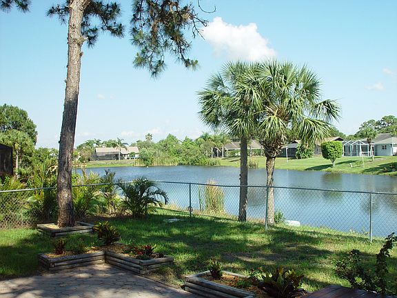 Palm Lake Estates Backyard