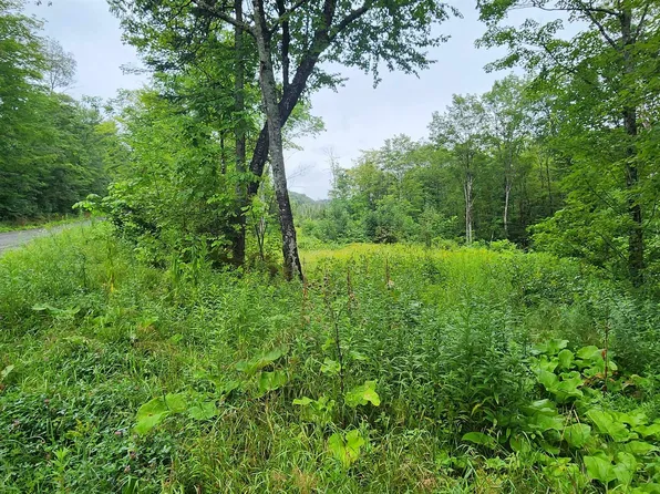 H Riddel Pond Road, Orange, VT 05641