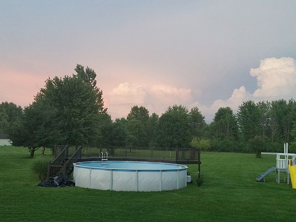 pool and back yard