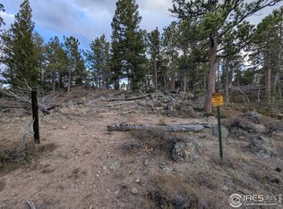 29 Santa Clara Ct, Red Feather Lakes, CO 80545