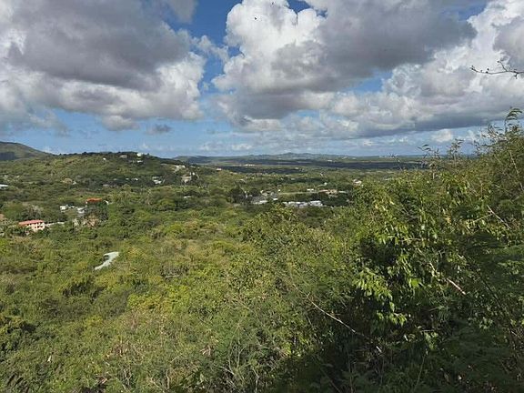 2nd image of 42 St. George PR