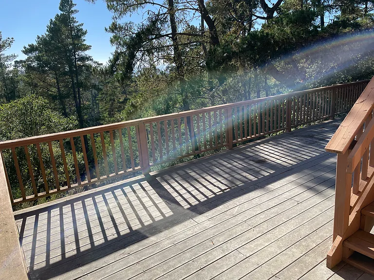 Ocean view through the pines.