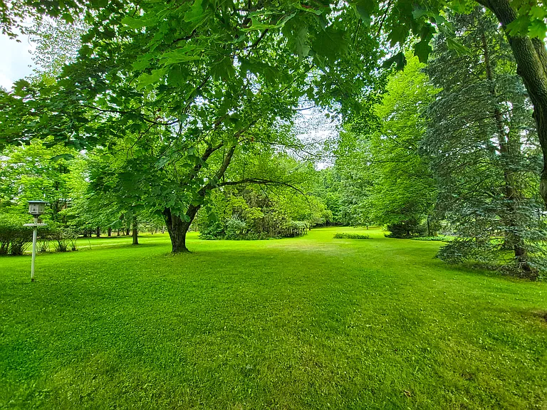 Large wooded backyard