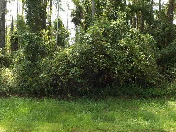 12 Poindexter Ln, Palm Coast, FL 32164
