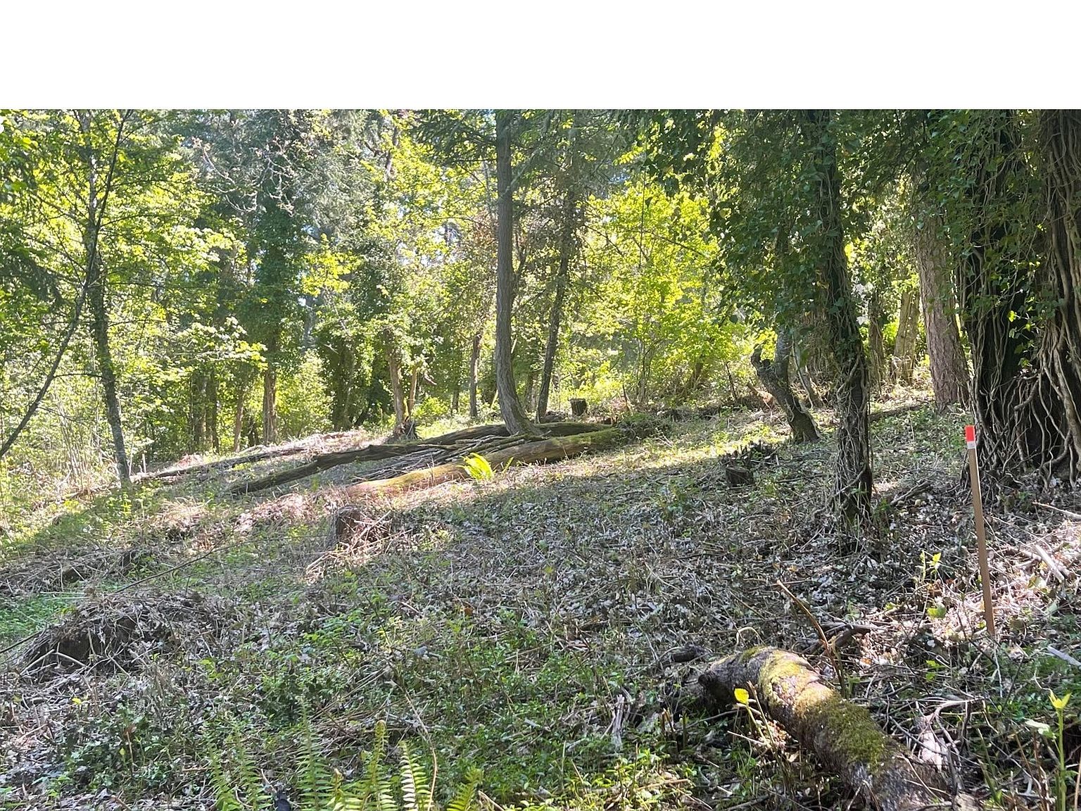 Lorane Hwy, Eugene, OR 97405 MLS 24108504 Zillow