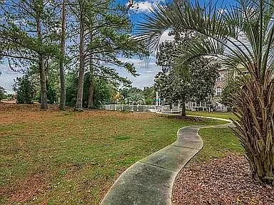 Hibiscus Dr — Photo 13
