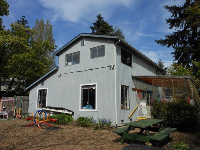 View from the back yard