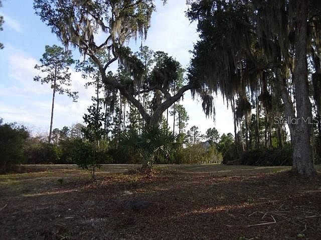 2nd image of 2006 Doyle Rd
