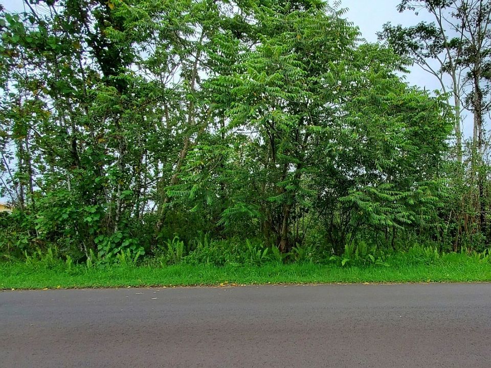 2nd image of 25th Avenue Okika Lot 82