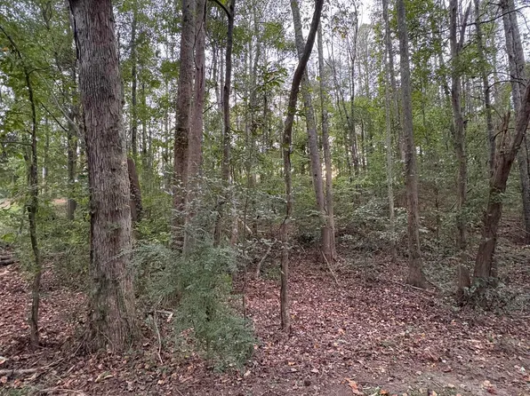 LOT 124 Evergreen Way, Union Grove, AL 35175