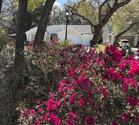 3rd image of 214 Chestnut Ridge St