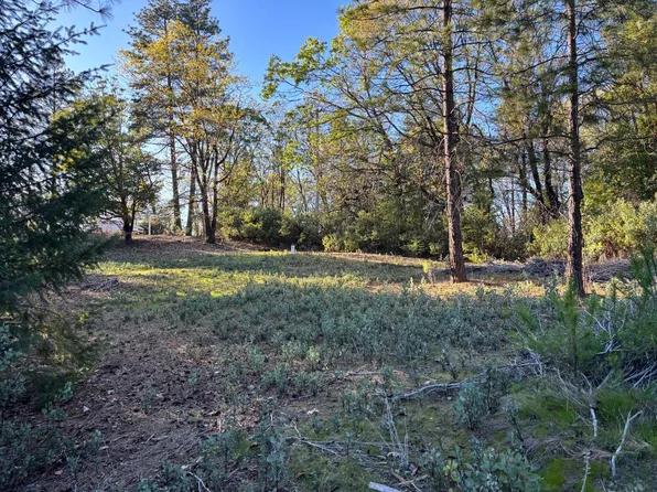 4110 Pine Mountain Rd, Foresthill, CA 95631