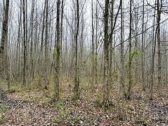 4th image of 6530 Short Mountain Rd