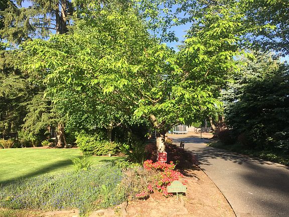 2nd image of 20130 78th Ave SE