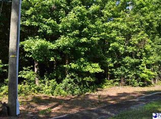 Lots 1 7 Bundy St, Clio, SC 29525