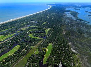 297 Marsh Cove Rd, Johns Island, SC 29455