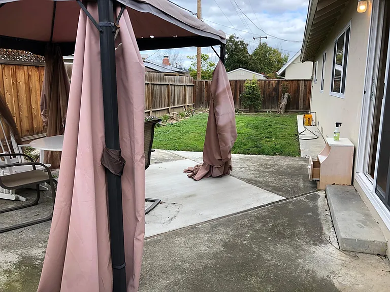 back yard in 2020
