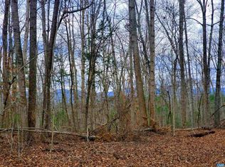 1601 Buck Mountain Rd, Earlysville, VA 22936