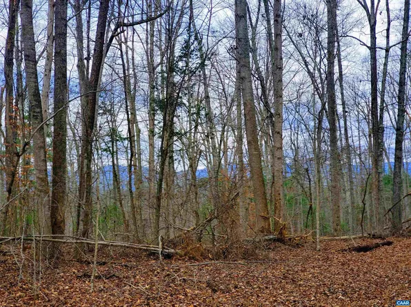 1601 Buck Mountain Rd, Earlysville, VA 22936