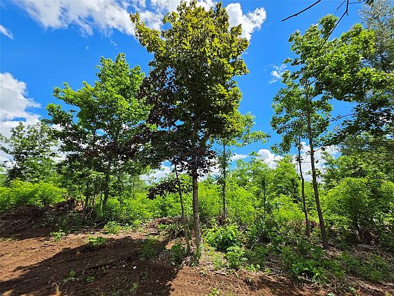 3rd image of Lot 8 370th Avenue