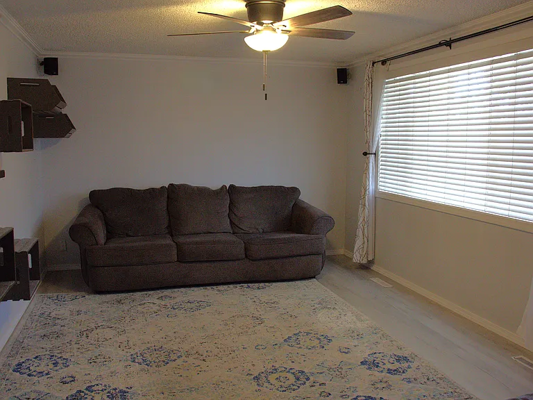 Living room (cat climbing wall, sofa, rug and curtains NOT included); custom blinds included