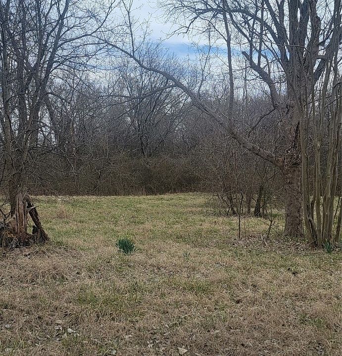 1st image of 3001 W Arkansas St