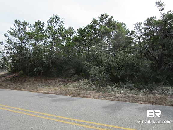 5th image of Palmetto Dr