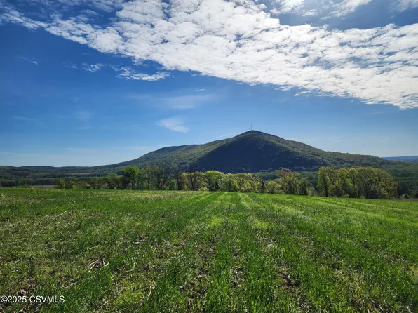 Roosters Rd, Pt Trevorton, PA 17864