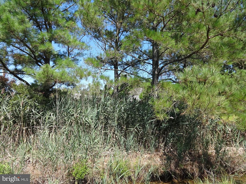 2nd image of 10788 Riley Roberts Rd