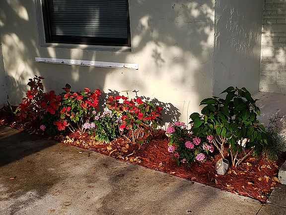 Flower Bed