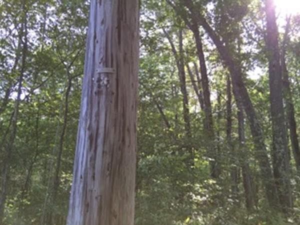 2nd image of 5 Laurel Ln