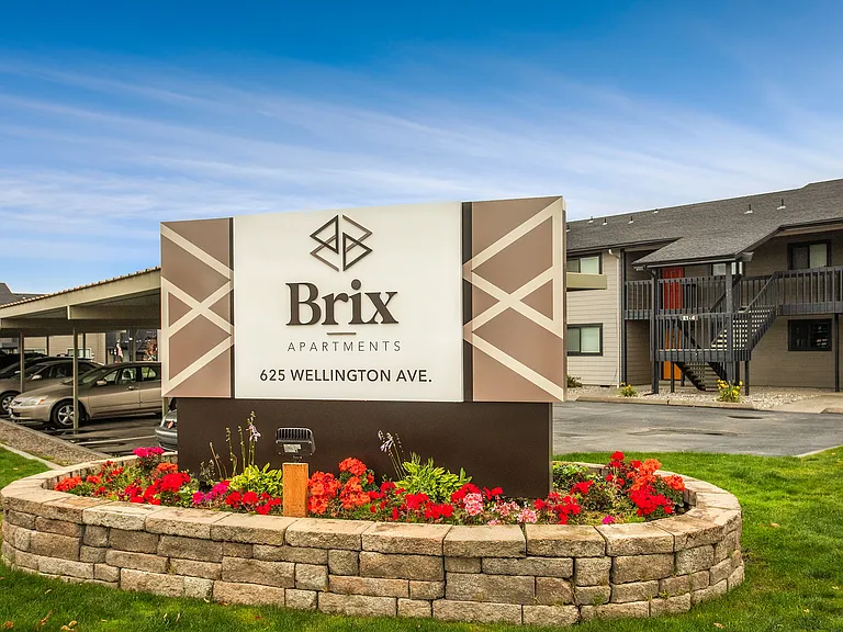 Brix — Photo 37