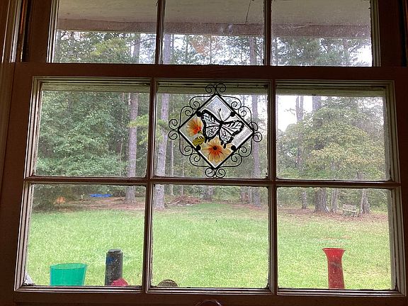 View from kitchen window.