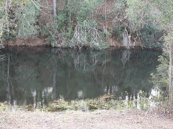 Fish from spring fed canal