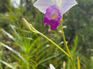 Paradise Rd LOT 93, Pahoa, HI 96778