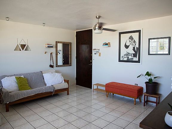 Living Room/Entrace.