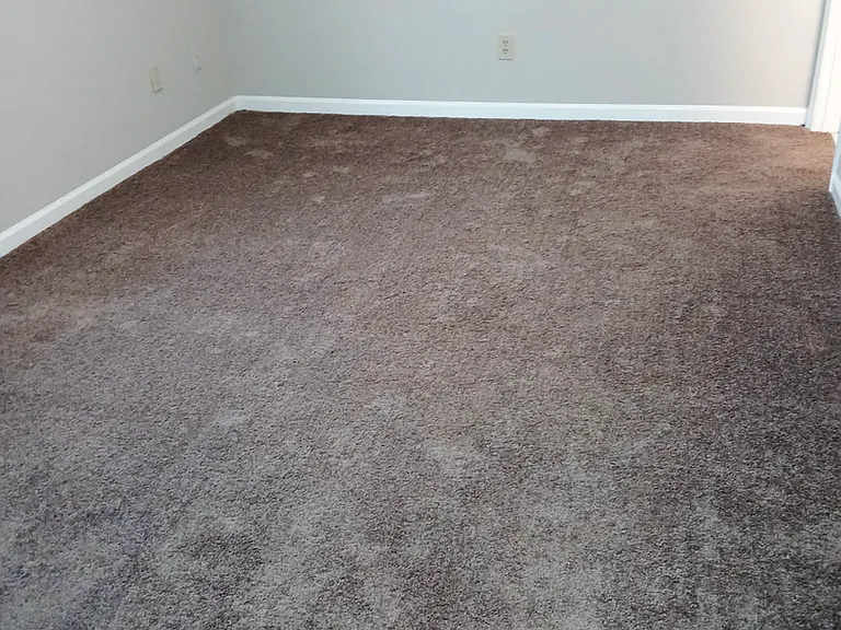 303 Kentucky Dr — Photo 9