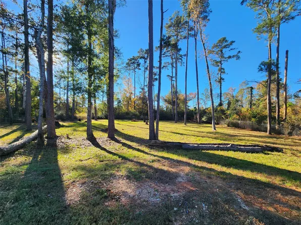 350 Brahman, Onalaska, TX 77360