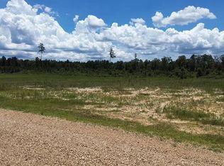 TRACT One C Teal McDaniel Rd, Independence, LA 70443