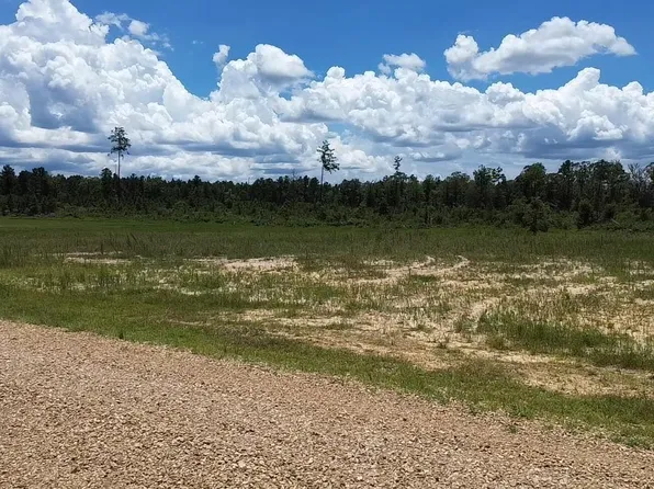 TRACT One C Teal McDaniel Rd, Independence, LA 70443