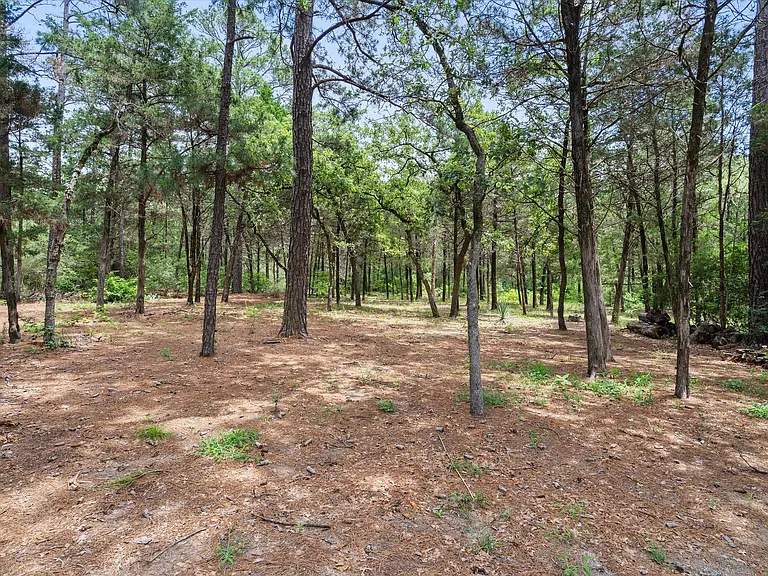 1014 FM 1441 — Photo 3