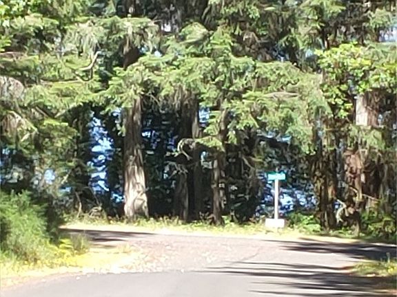 2nd image of 10412 & 10408 Matthews Way