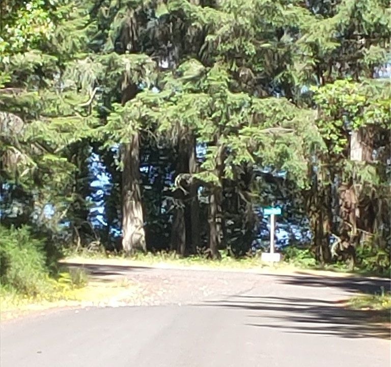 1st image of 10416 10420 Matthews Way