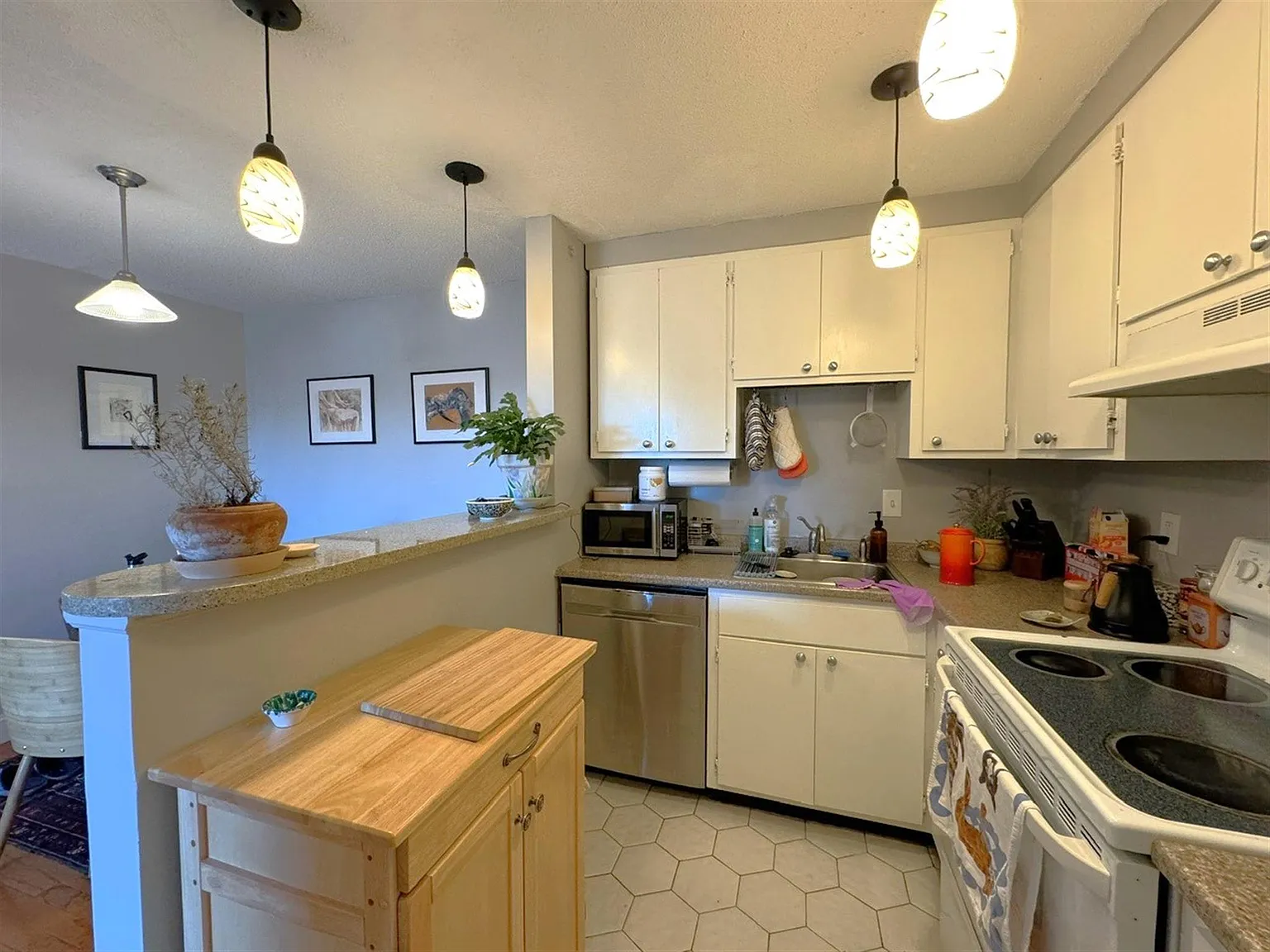 1 bed, 900 sqft, $2,450 — Photo 4
