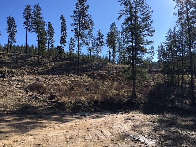 2nd image of 15305 E Bill Gulch Rd