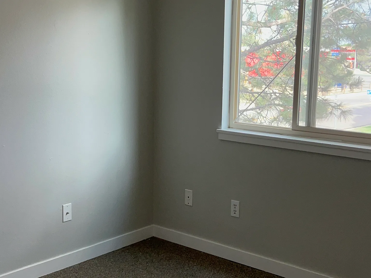 8099 Chase Dr — Photo 3