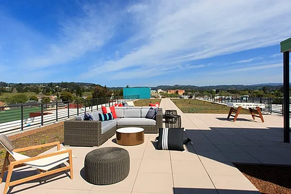 Rooftop Garden
